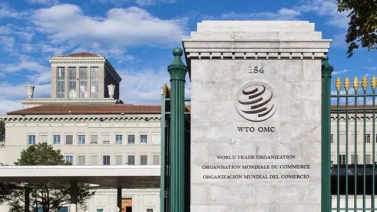 重磅！中国在WTO要求美日荷澄清是否存在芯片出口限制