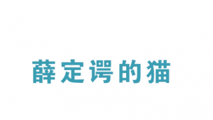 薛定谔的猫是什么？2分钟看懂平行宇宙与量子力学，物理很有趣！